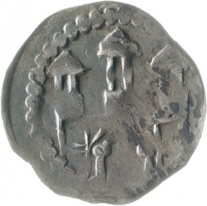 Braunschweig-Lüneburg: Mittleres Haus, Friedrich von Wolfenbüttel?