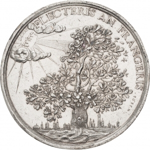 Rappost, Heinrich der Jüngere: Friedrich Ulrich von Braunschweig-Wolfenbüttel, Belagerung Braunschweigs